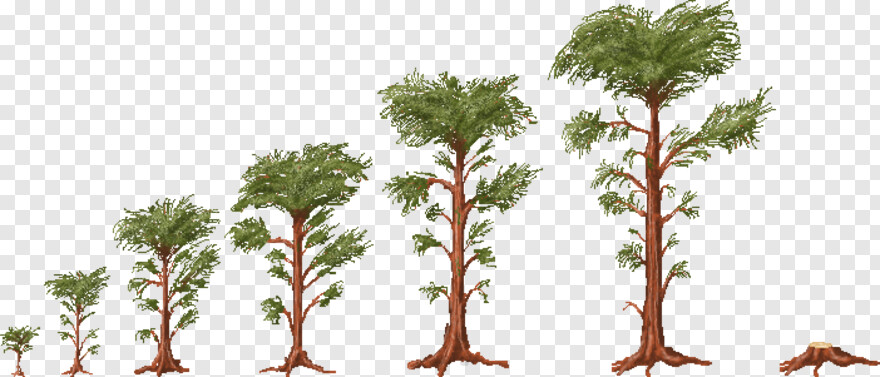 pine-tree # 461435