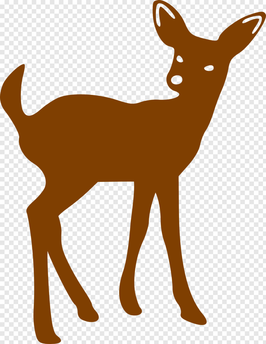 whitetail-deer # 434047