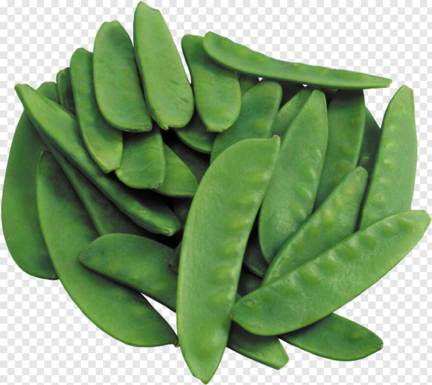 green-beans # 388834