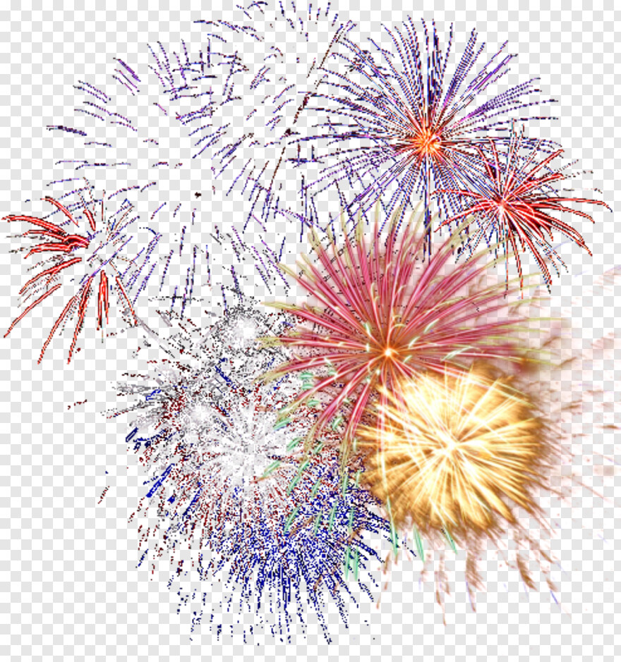 celebration-firework # 833010