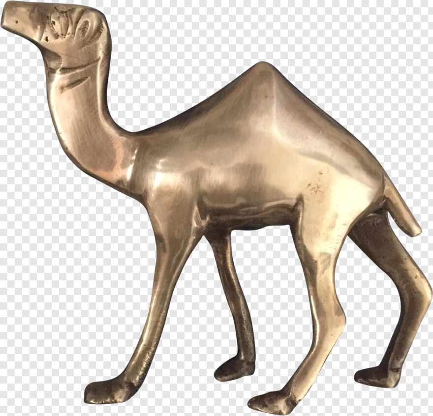 camel-vector # 494615