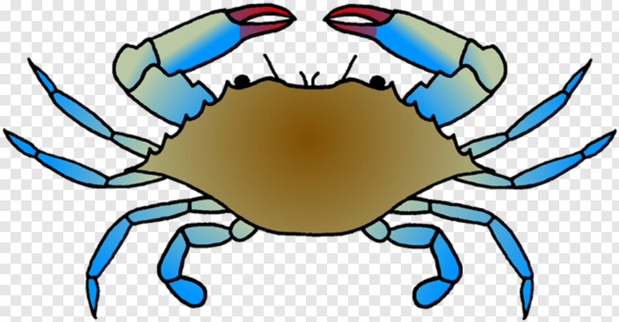 blue-crab # 343410