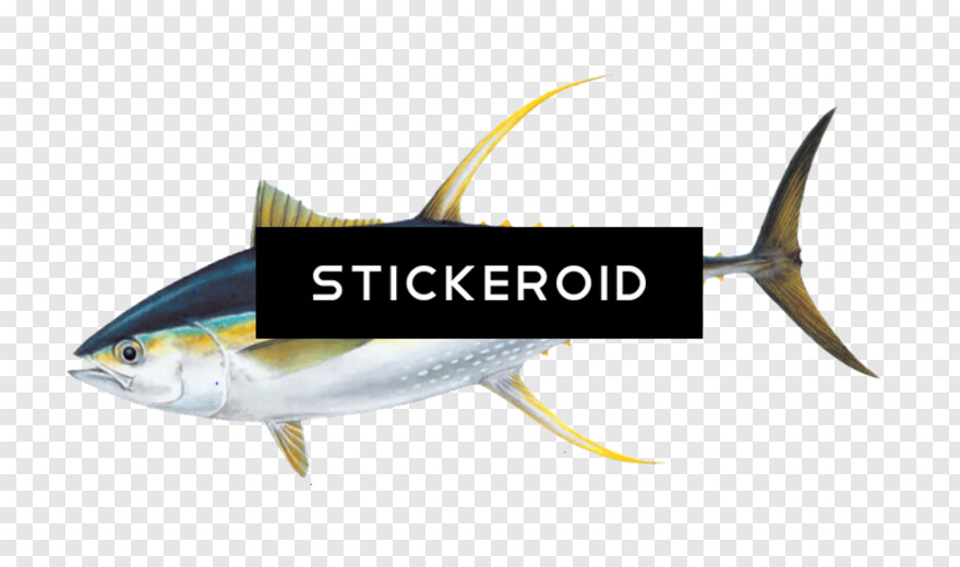 fish-logo # 342777