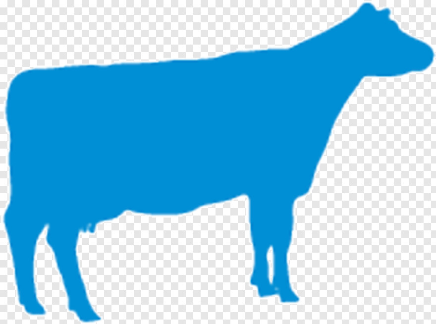 cow-icon # 949623