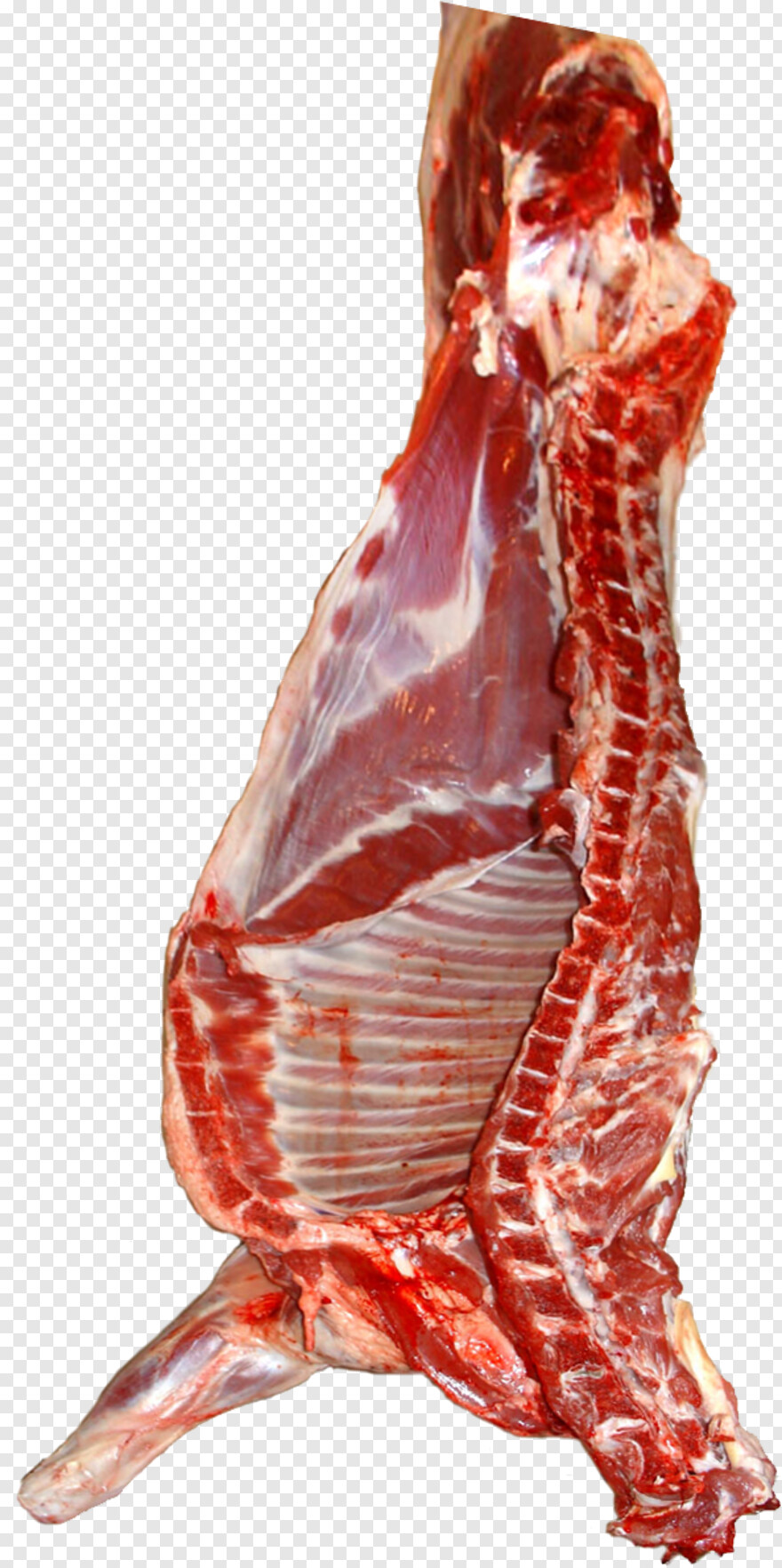 meat # 696755
