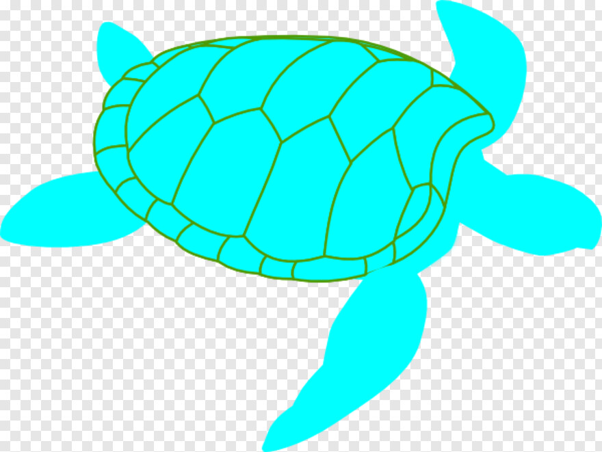 turtle-clipart # 472811