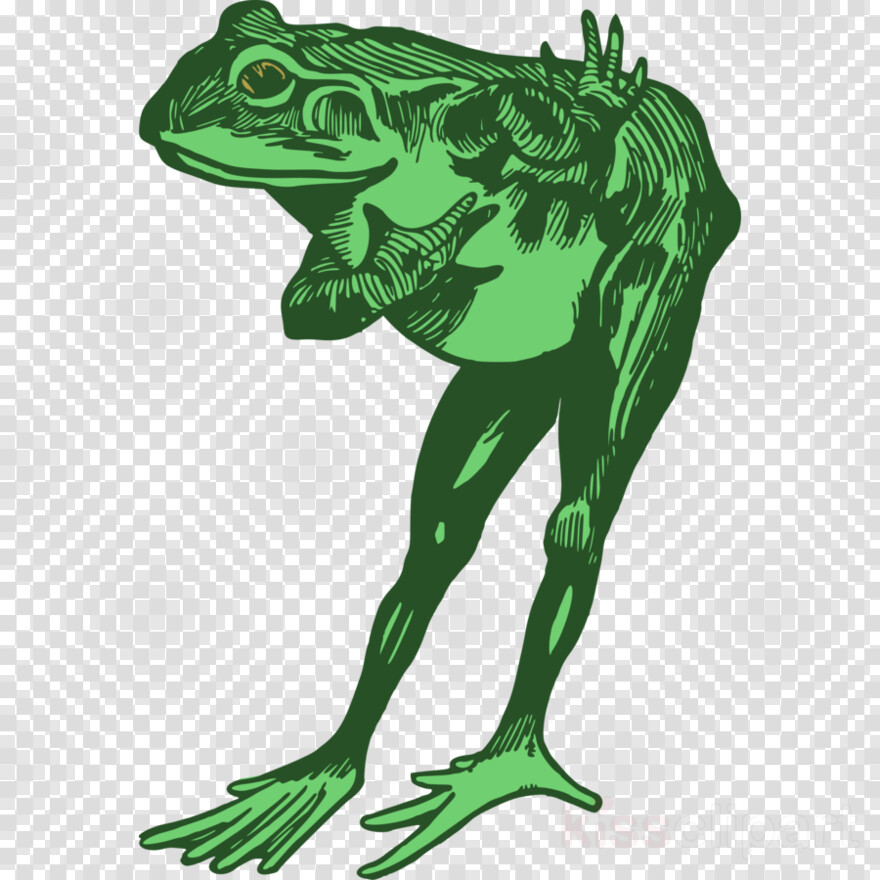 crazy-frog # 354748