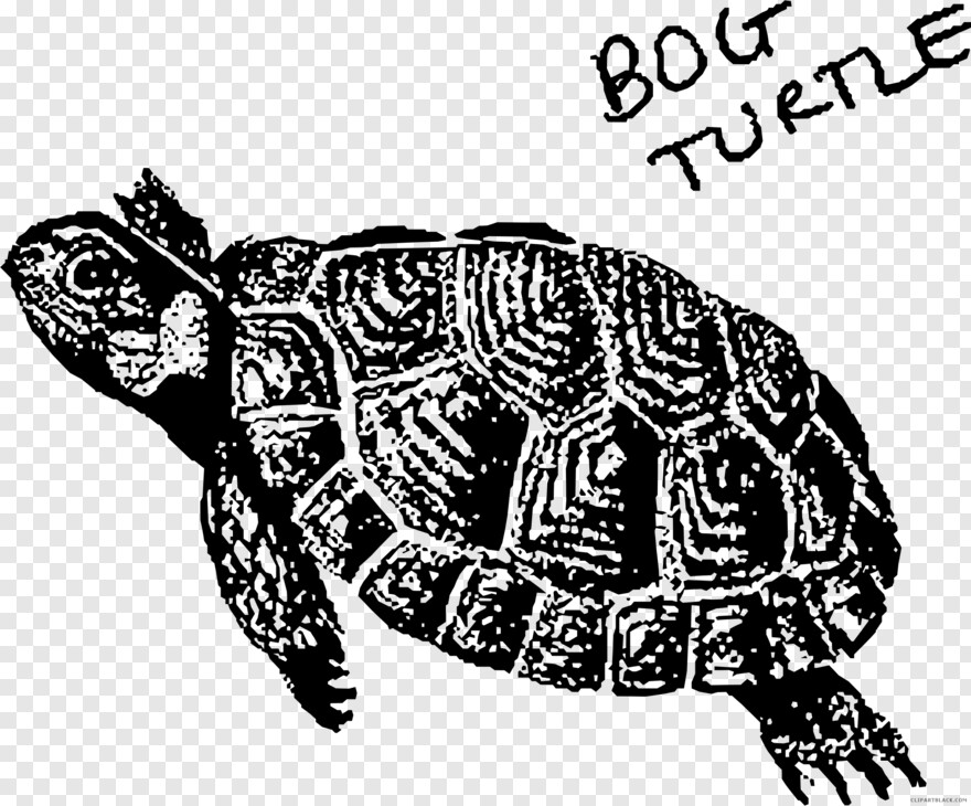 turtle-silhouette # 335380