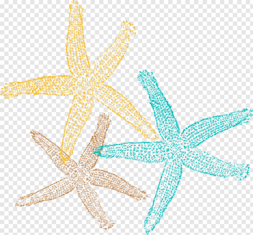 starfish-clipart # 428076