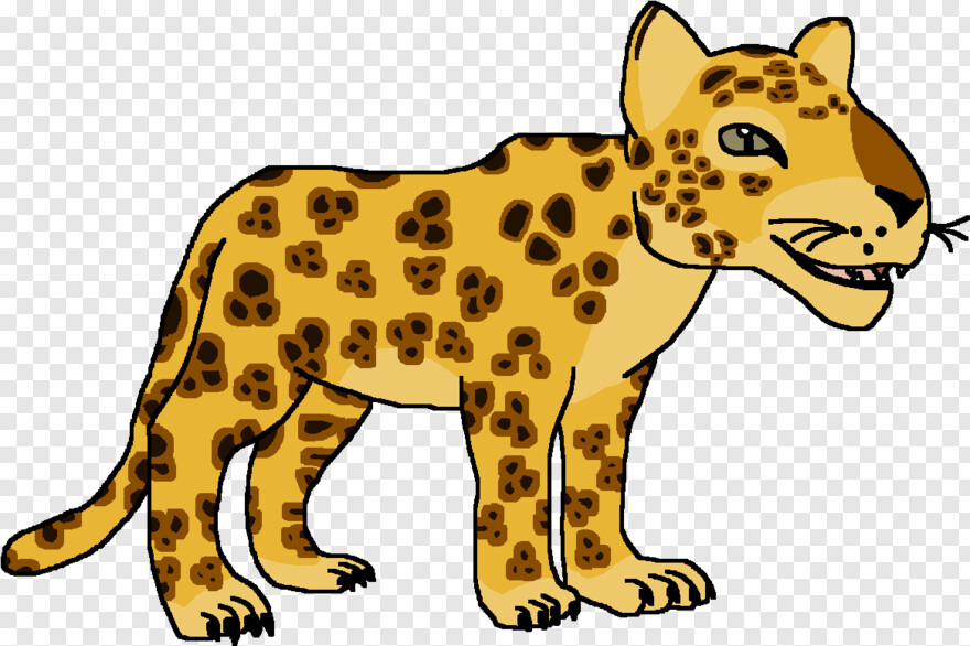 leopard # 718752