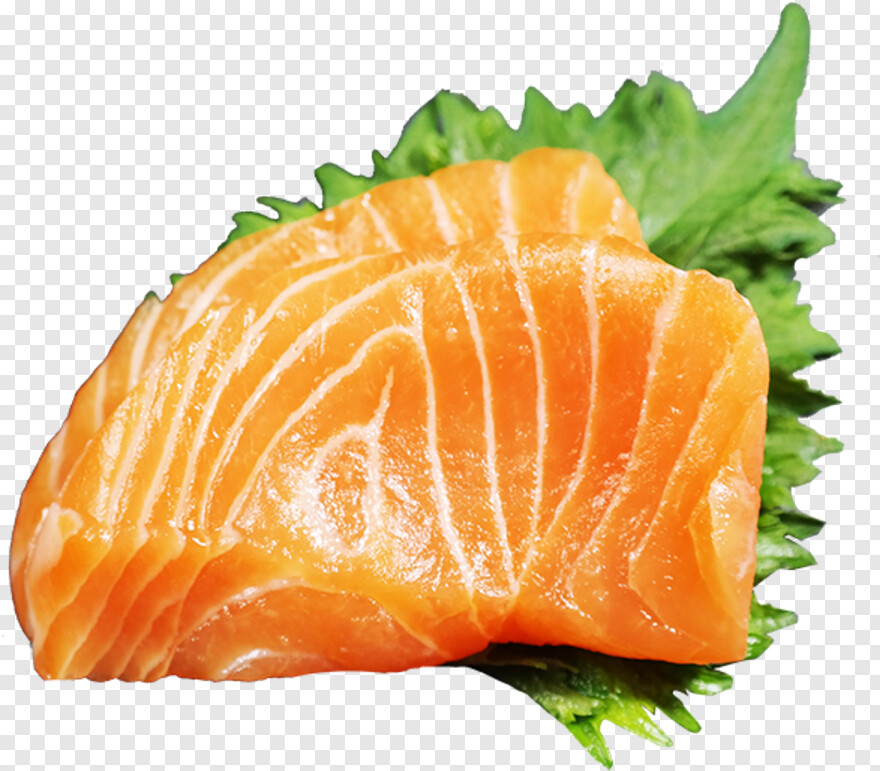 salmon # 629616