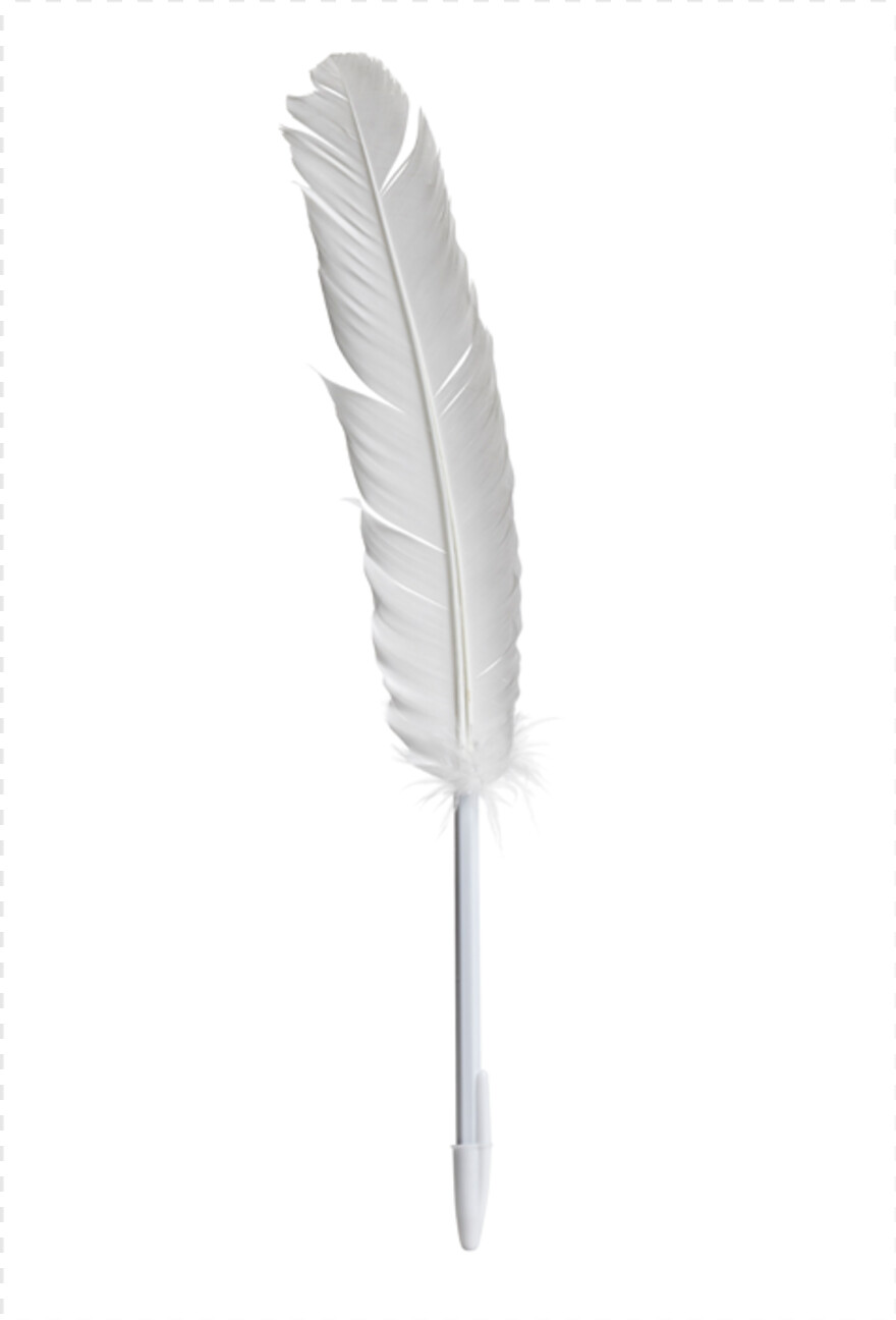 feather-pen # 842534