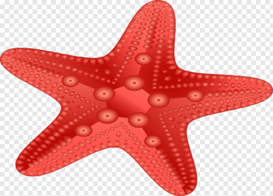 starfish-clipart # 612014