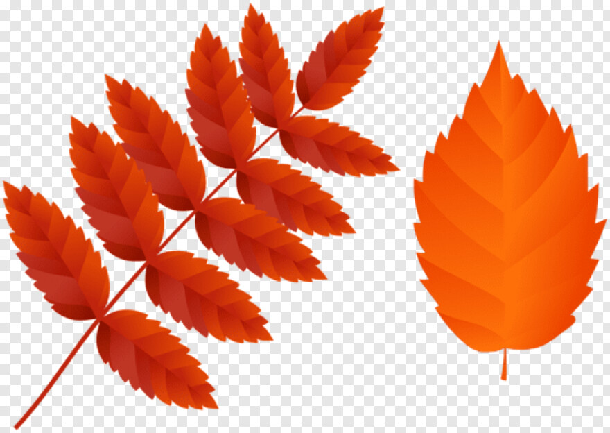 fall-leaves-background # 926620