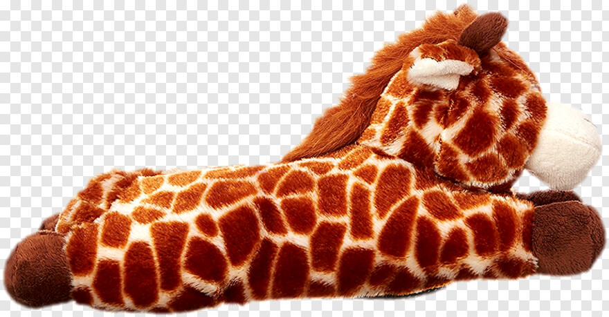 giraffe # 334910