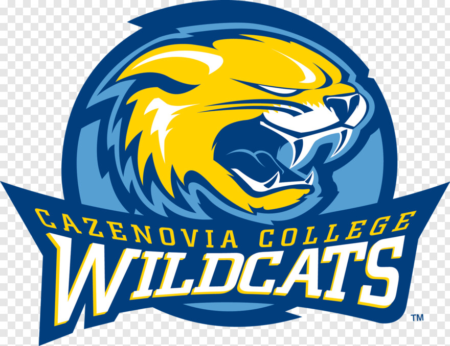  College Student, College, Boston College Logo, College Icon, Wildcat