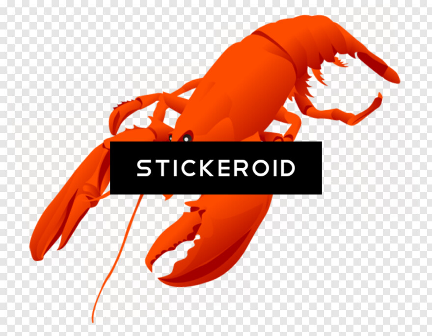 lobster # 711819