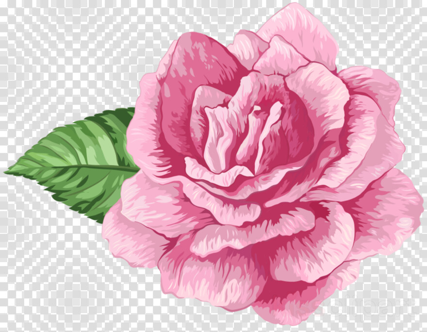 Garden, Flores, Flores Animadas, Rosas, Bouquet Of Roses, Rosas Rojas  #826213 - Free Icon Library