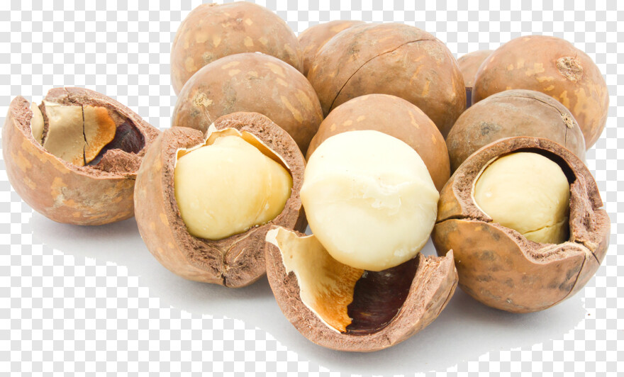 deez-nuts # 672582