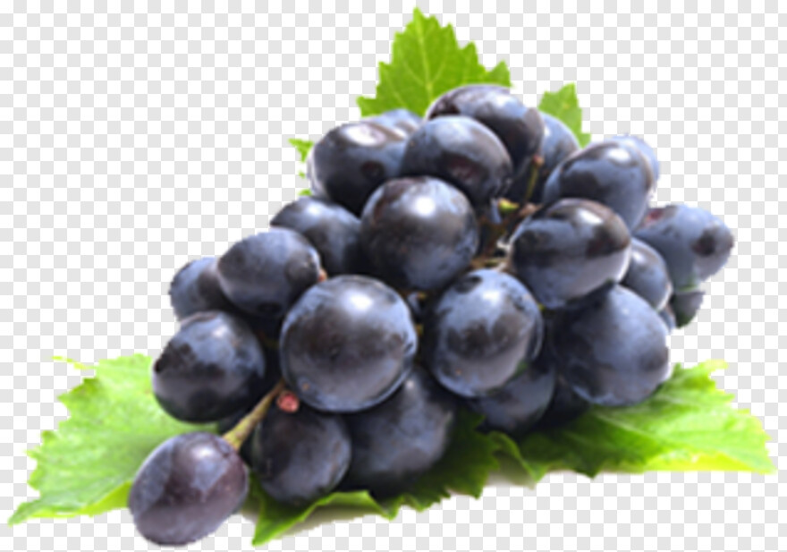 grapes # 786897