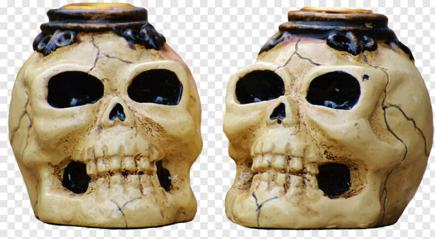 skull-and-crossbones # 333759