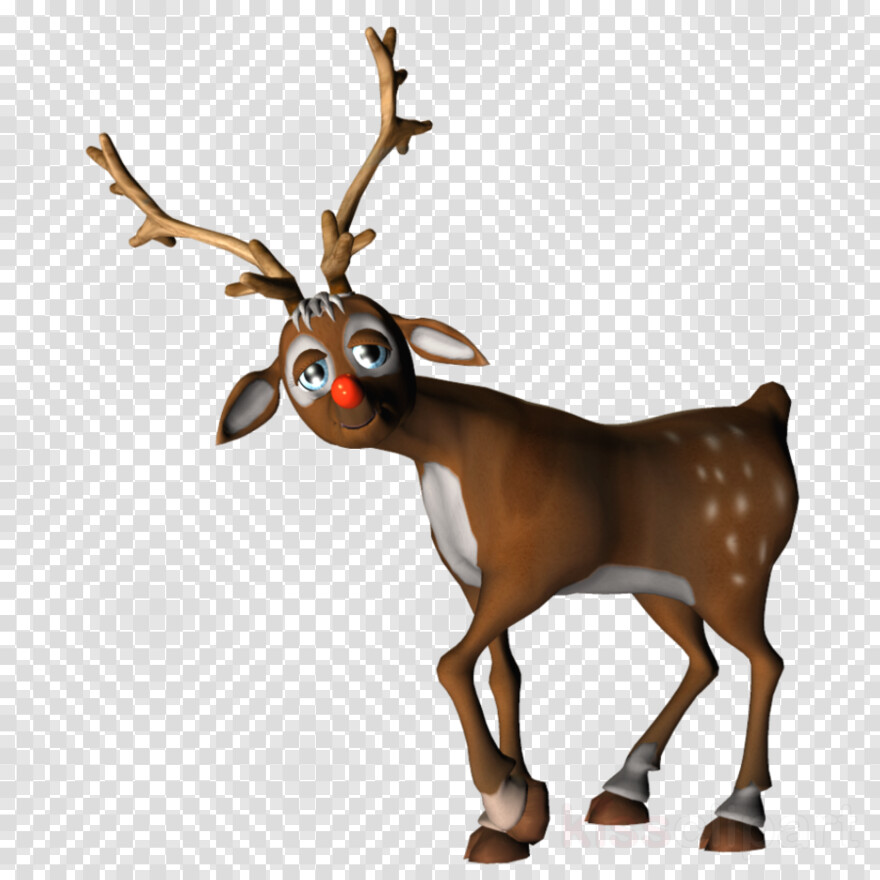 reindeer # 631031
