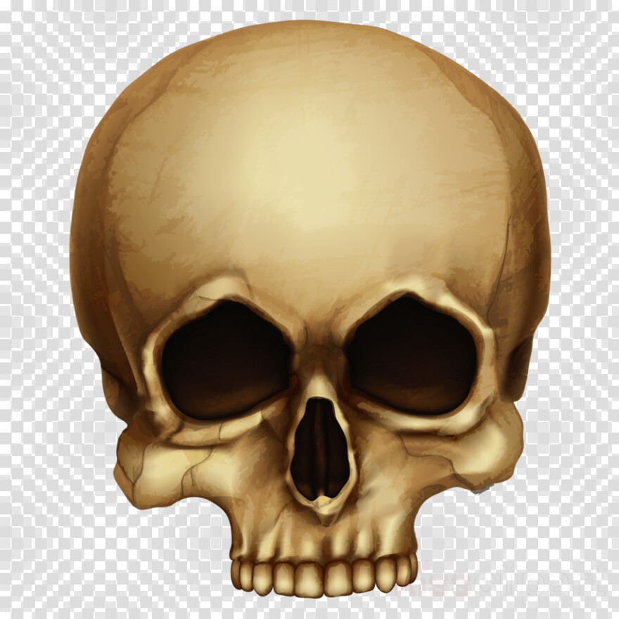 skull-and-crossbones # 1070940