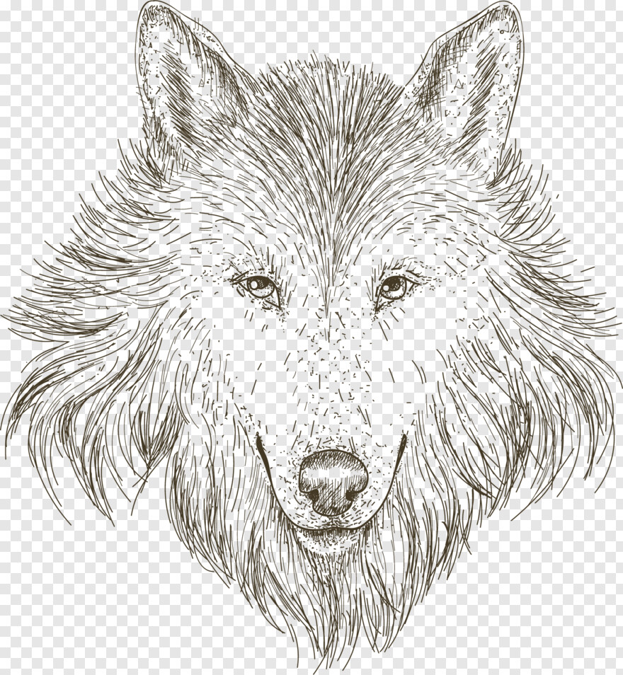 wolf-head # 335969