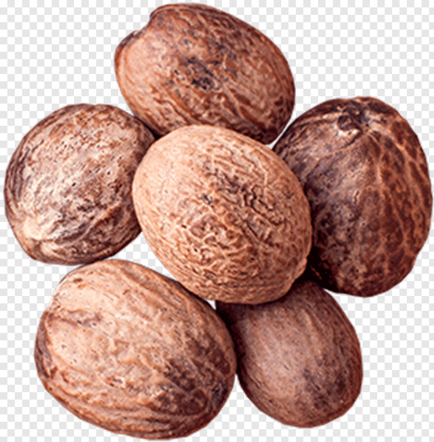 walnut # 592603
