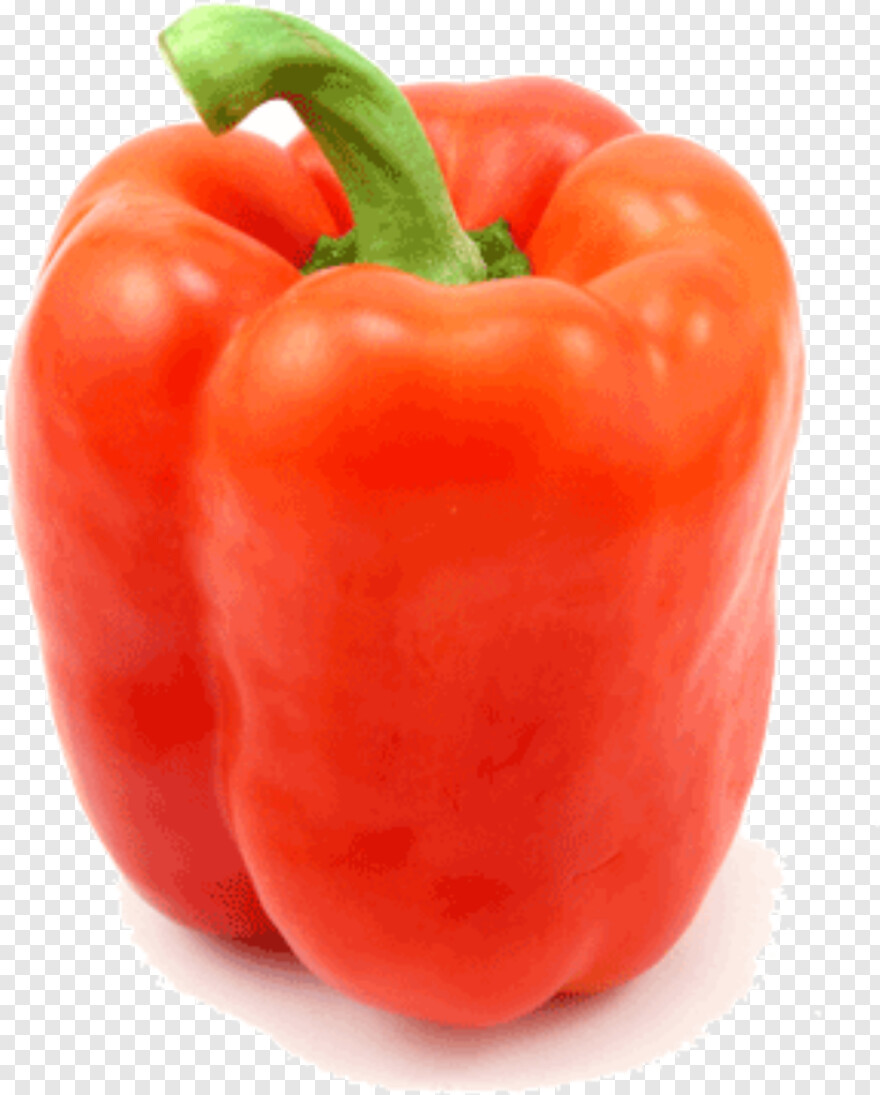 red-pepper # 375384