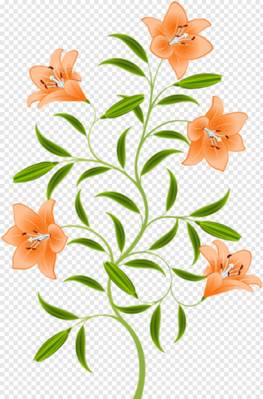 easter-lily # 824016
