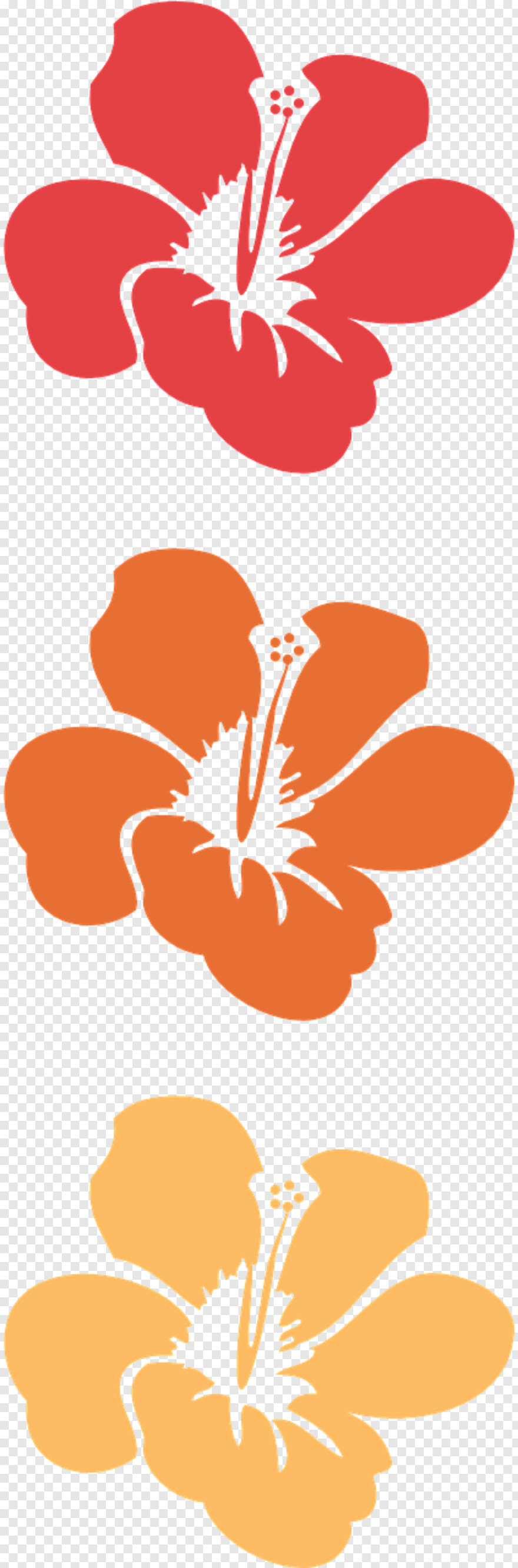 orange-flower # 344247