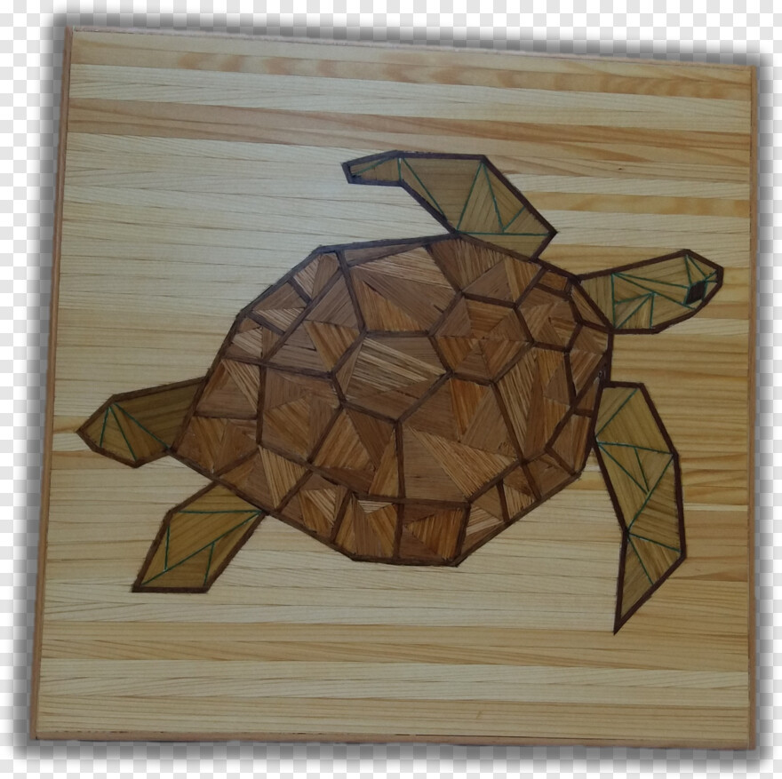 Turtle Shell, Turtle, Turtle Clipart, Sea Turtle, Turtle Silhouette, Black Desert Online