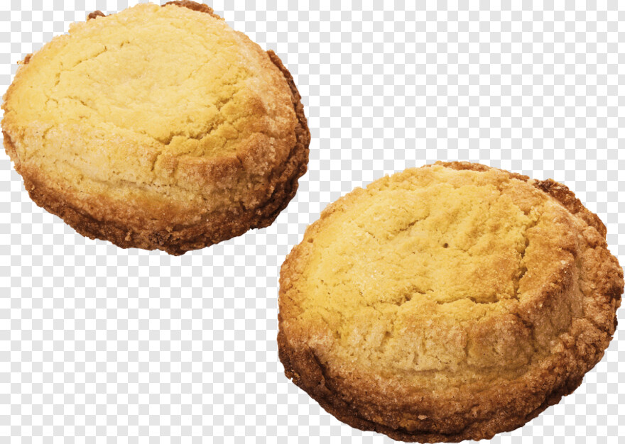 biscuit # 358023