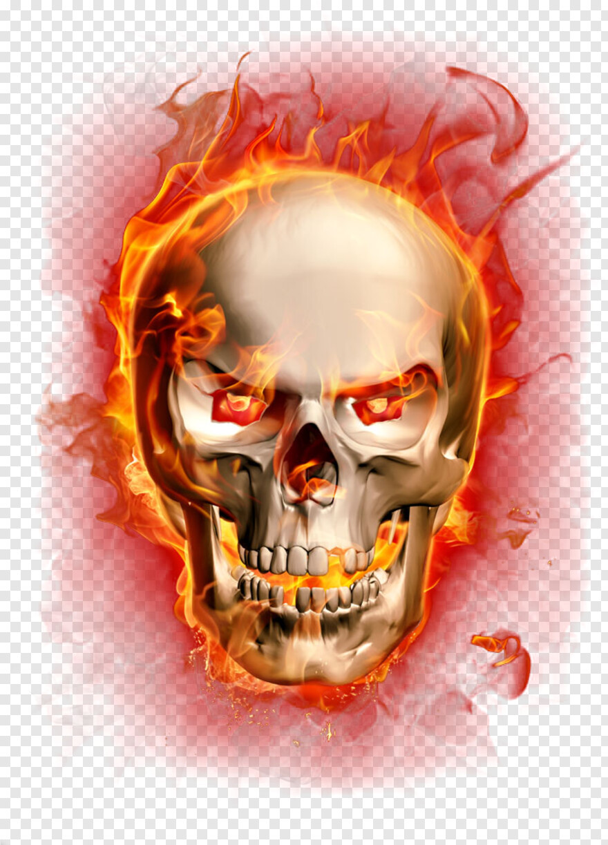 pirate-skull # 582386