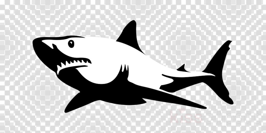 great-white-shark # 354647