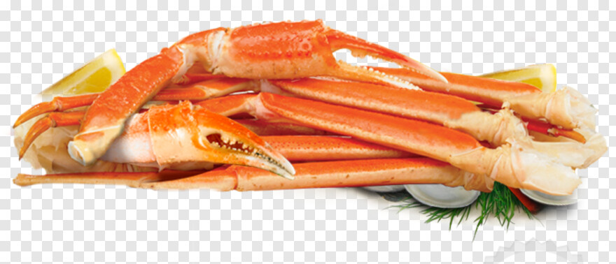 blue-crab # 948936
