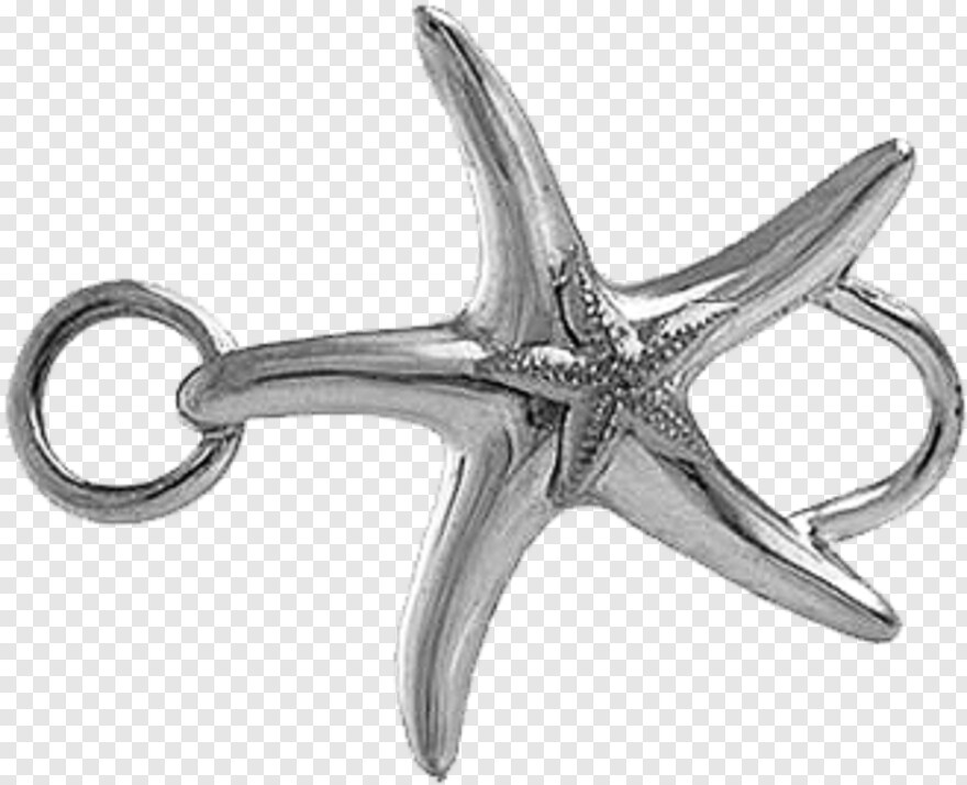 starfish-clipart # 336885