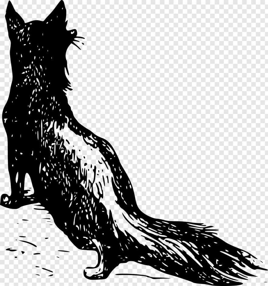 fox-logo # 914098