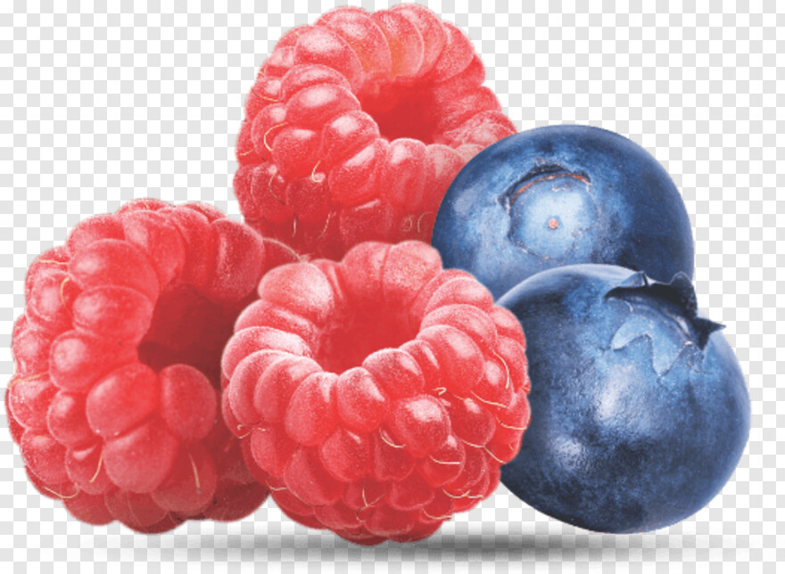 blue-raspberry # 343763