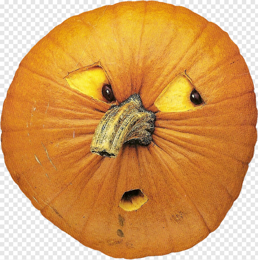 scary-pumpkin # 346281