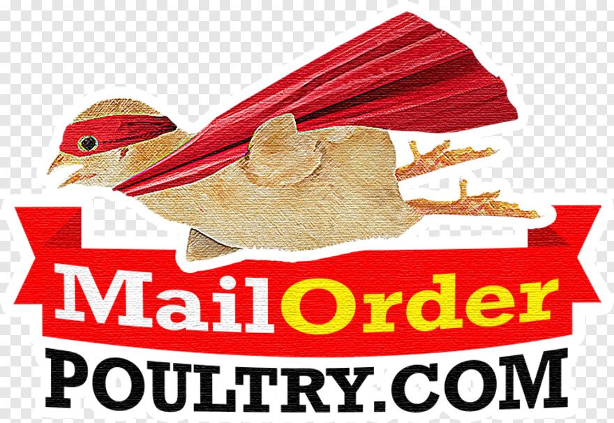 mail-icon # 705248