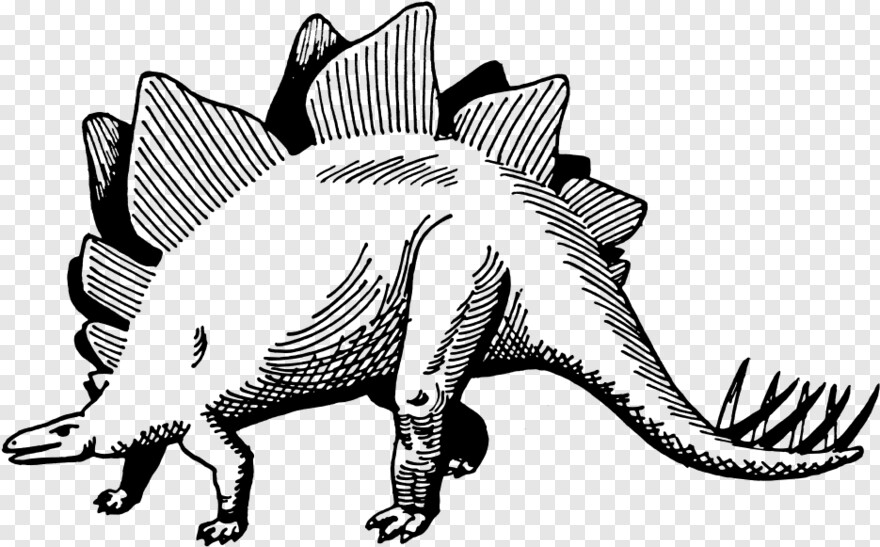 stegosaurus # 611142