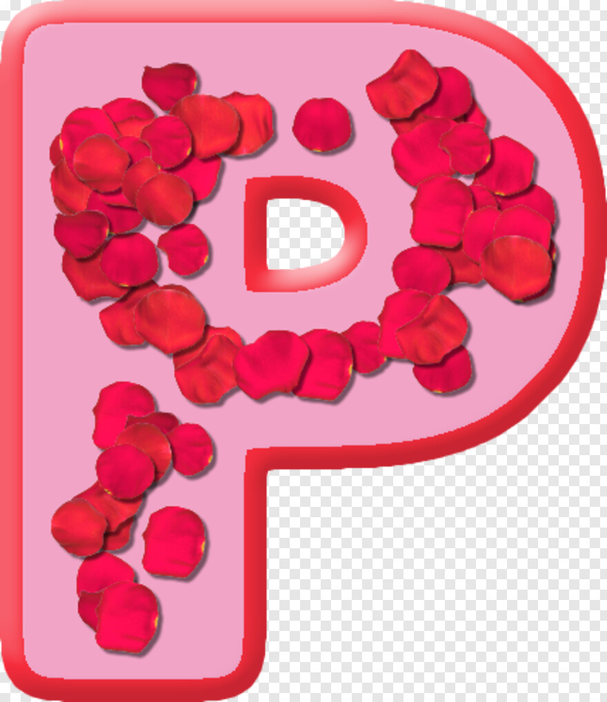 pink-rose-petals # 545135