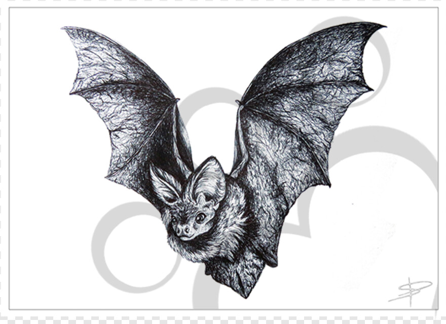 bat-silhouette # 396072