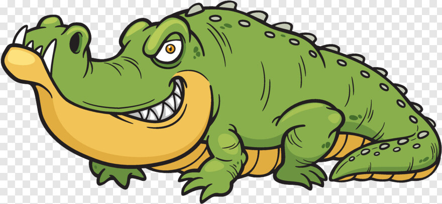 crocodile # 538135