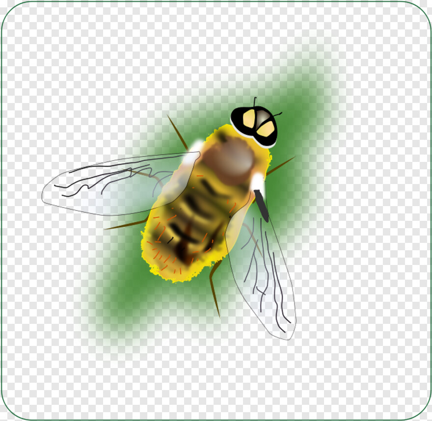 flying-bee # 381904