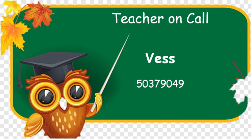teacher # 338457