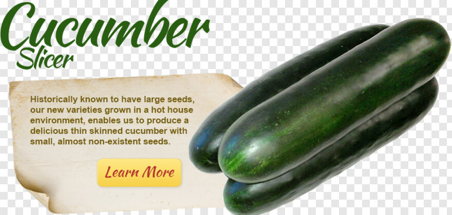 cucumber # 938023