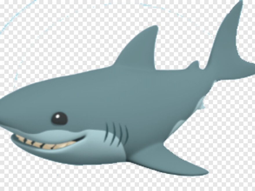 great-white-shark # 480449